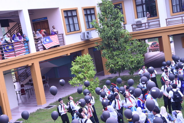294 DSC 0377